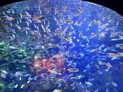 -成都浩海立方海洋公园