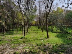 -美兰湖景区