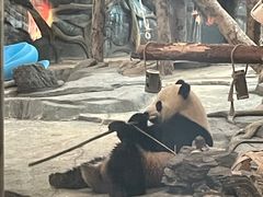 -武汉动物园