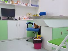 -汪喵宠物医院·骨科心脏影像·犬猫急重症ICU诊疗中心(成华分院)