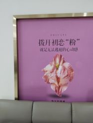 -重庆五洲妇儿医院·妇幼保健