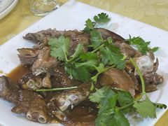 -阳江餐厅·30年老字号·粤菜海鲜大排档