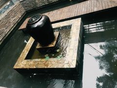 -Local泰莲庭(虹鳟鱼店)