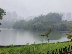 -重庆彩云湖湿地公园