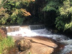 -广州市石门国家森林公园