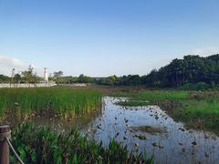 -中澳友谊花园