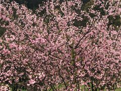 -敬亭山风景名胜区