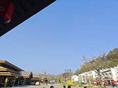 -千年银杏谷文化旅游区