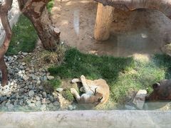 -青藏高原野生动物园