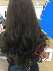 -环球蝶上美业连锁
