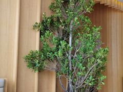 用餐区-Bracket Coffee(工体店)