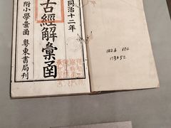 -四川大学博物馆