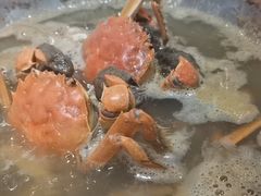 -比尔森韩式烤肉自助(绿园店)