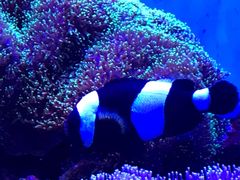 -多彩贵州城极地海洋世界