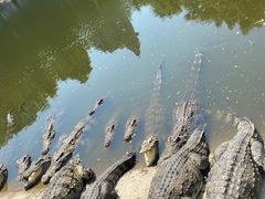 -东海海鲜酒家(中信广场店)