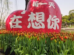 -上海鲜花港