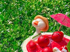 -CAKE BOSS 蛋糕老板(领展购物广场·中关村店)