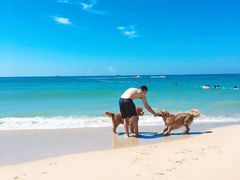 -西涌国际滨海旅游区