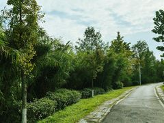 -白鹭湾湿地公园