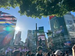 -涩谷区