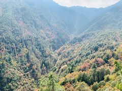 -苍山感通索道