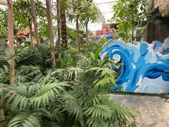 -南宫五洲植物乐园