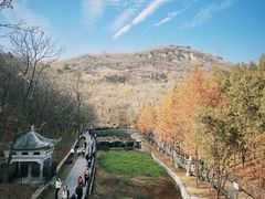 -白水寺森林公园