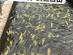 -青龙潭鱼庄