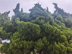 -旅顺博物馆