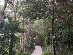 -小南山公园