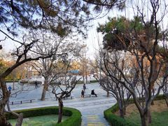 -团结湖公园
