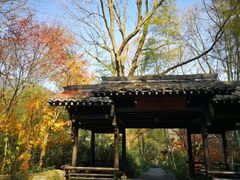 -法云安缦酒店