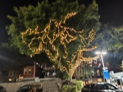 -厦门歌舞剧院