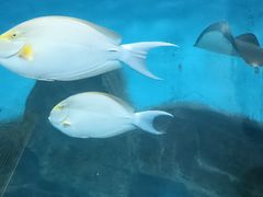 -泉城欧乐堡海洋极地世界