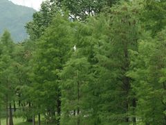 -人民公园(罗湖区)