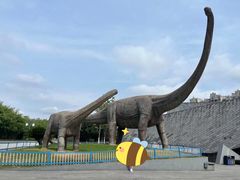 -安徽省地质博物馆