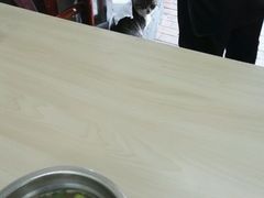 -舒蔡记生煎菜饭(云南中路店)