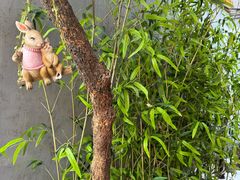 -后海16号·北京私房菜