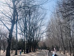 -将府公园