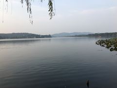 -西湖外事游船(花港观鱼码头)