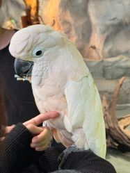 -Zoolung Zoolung动物主题公园(海信广场店)