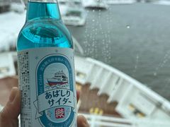-网走流冰观光破冰船极光号