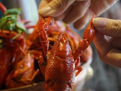 -沪小二炭火蛙锅(淮海中路美食不夜城店)