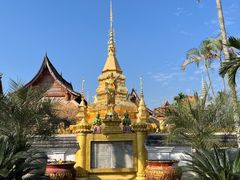 -西双版纳傣族园