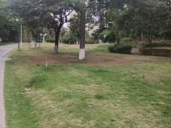 -成都市活水公园