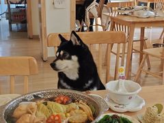 -柴の食堂·日式家庭料理·熊之肆(大学路店)