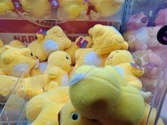 -涨巢·潮玩水疗局