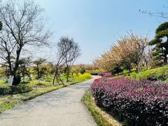 -武汉紫薇都市田园