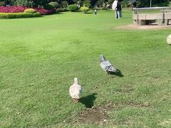 -白鹭洲公园