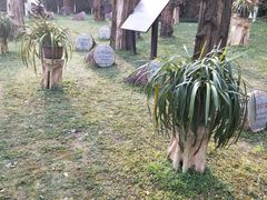 -南山植物园